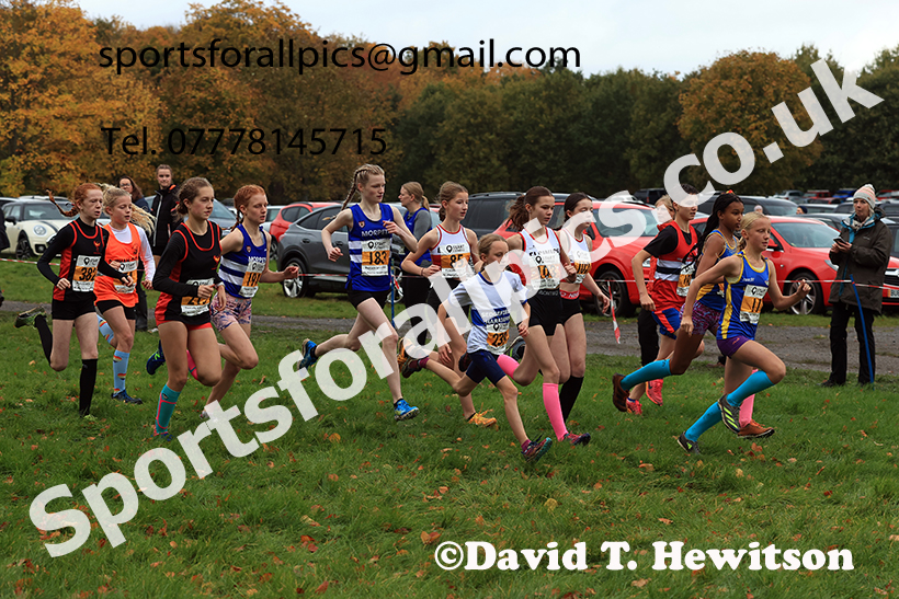 Girls under-13s 2024 Start Fitness NEHL, Lambton Park, near Chester le Street, County Durham.   Photo: David T. Hewitson/Sports for All Pics